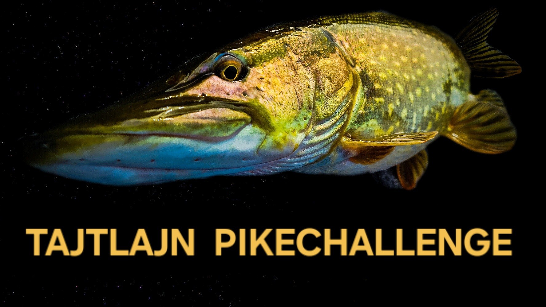 pikechallange